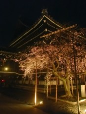 Bukkoji temple at night